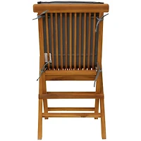 Brown Wood Outdoor Folding Dining Chairs, Set of 2