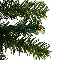 Pre-lit Canadian Pine Wreath