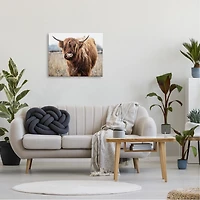 Longhorn in Tall Grass Canvas Art Print, 30x24 in.
