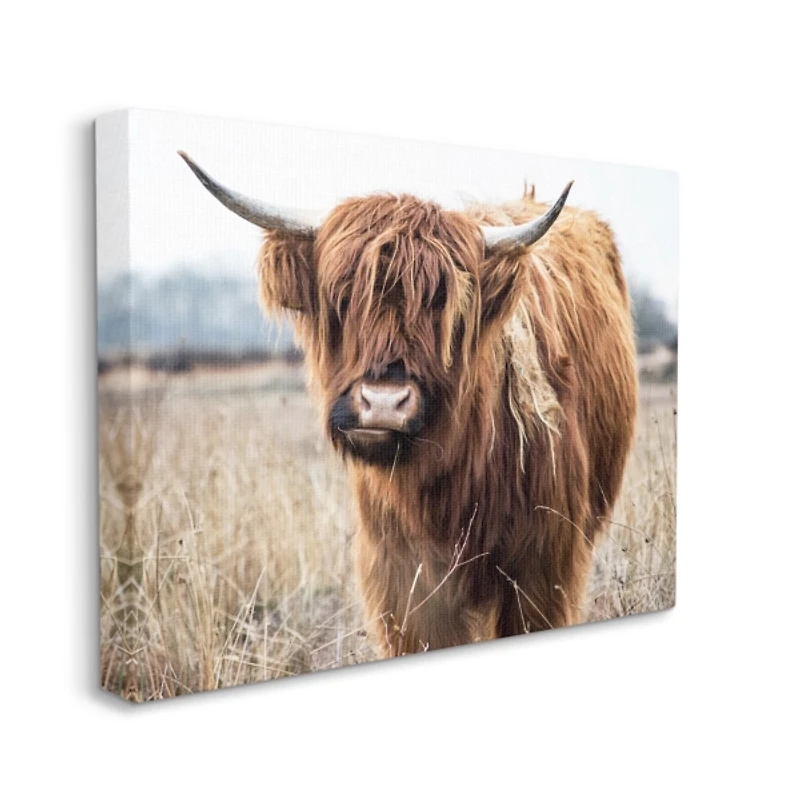 Longhorn in Tall Grass Canvas Art Print, 30x24 in.