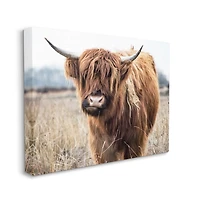 Longhorn in Tall Grass Canvas Art Print, 30x24 in.