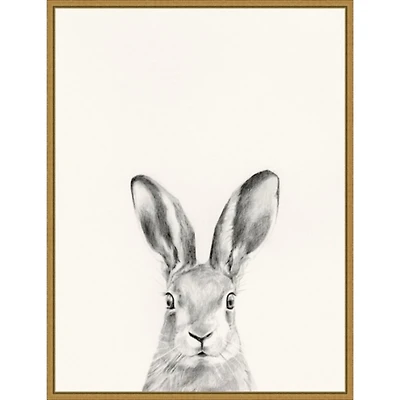 Rabbit Mug Shot Framed Canvas Art Print