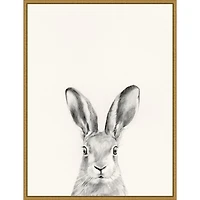 Rabbit Mug Shot Framed Canvas Art Print