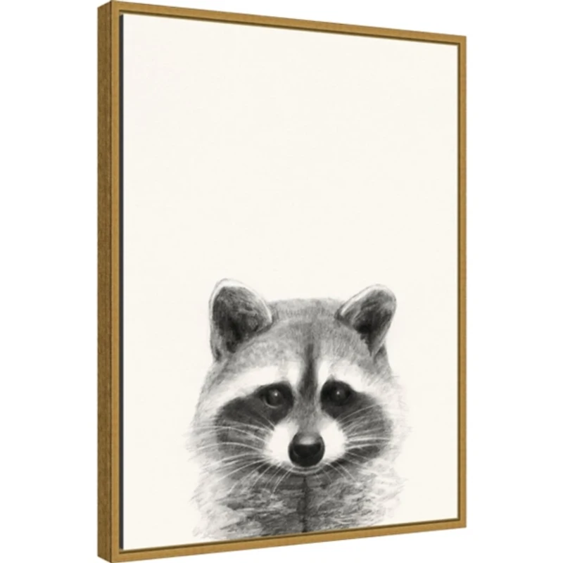 Raccoon Mug Shot Framed Canvas Art Print