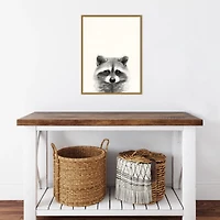 Raccoon Mug Shot Framed Canvas Art Print