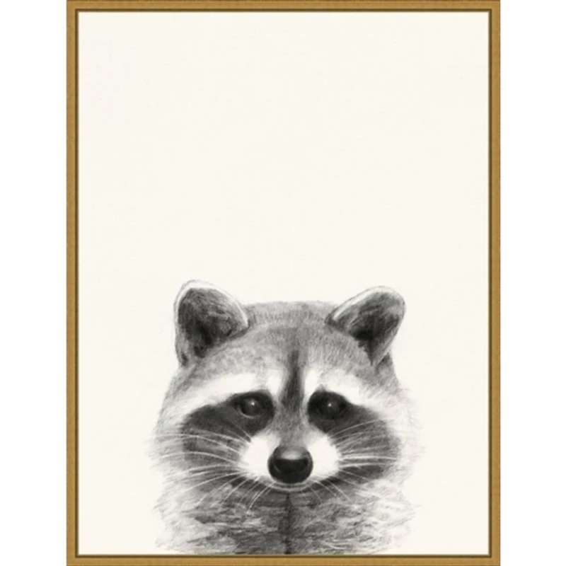 Raccoon Mug Shot Framed Canvas Art Print