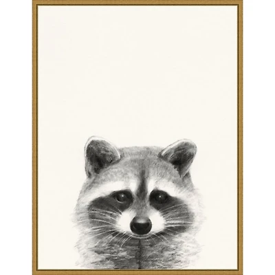 Raccoon Mug Shot Framed Canvas Art Print