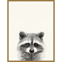 Raccoon Mug Shot Framed Canvas Art Print
