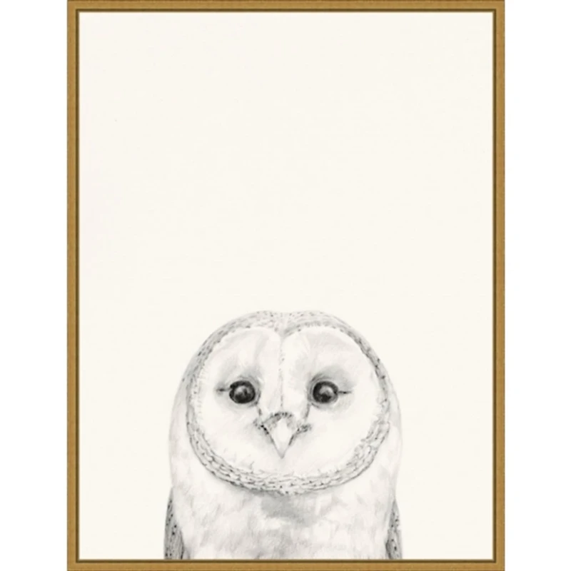 Owl Mug Shot Framed Canvas Art Print