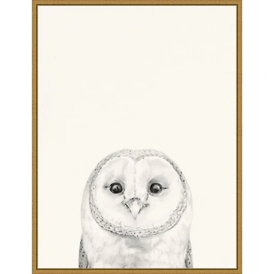 Owl Mug Shot Framed Canvas Art Print