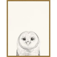 Owl Mug Shot Framed Canvas Art Print