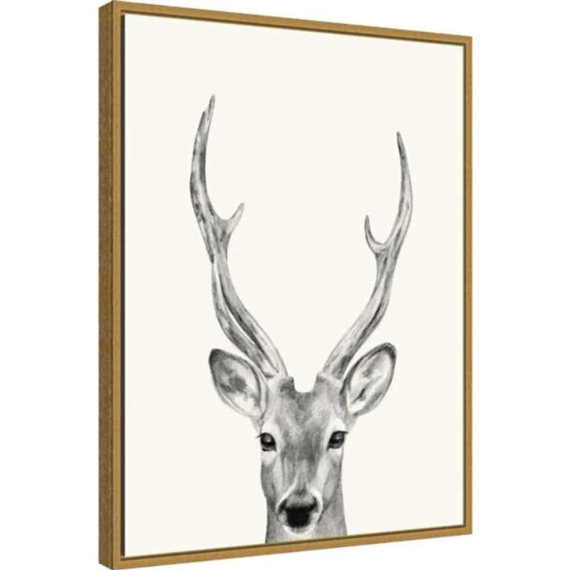 Deer Mug Shot Framed Canvas Art Print