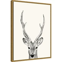 Deer Mug Shot Framed Canvas Art Print
