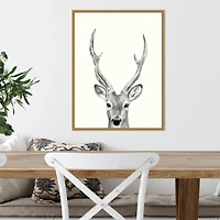 Deer Mug Shot Framed Canvas Art Print