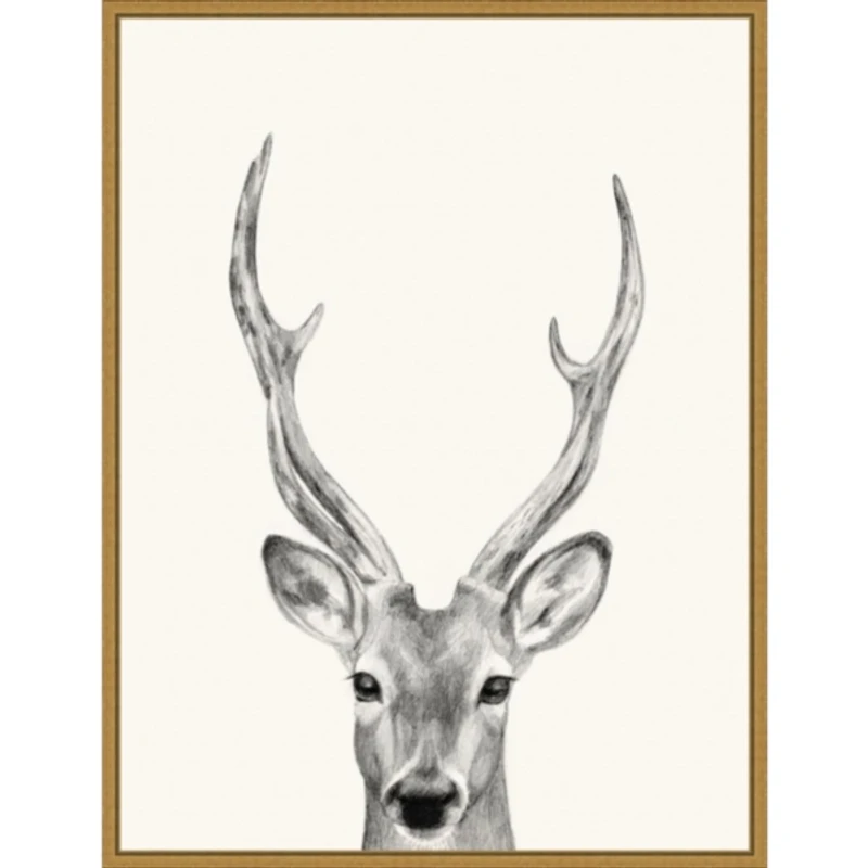 Deer Mug Shot Framed Canvas Art Print