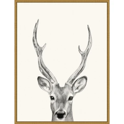 Deer Mug Shot Framed Canvas Art Print