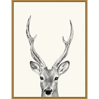 Deer Mug Shot Framed Canvas Art Print