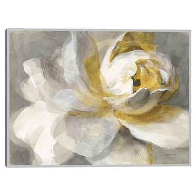 Abstract Rose Framed Canvas Art Print