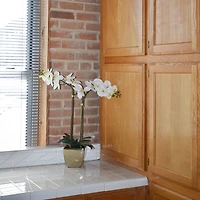 Orchid Arrangement in Gold Pot