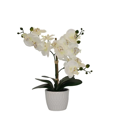 Orchid Arrangement in White Decorative Pot