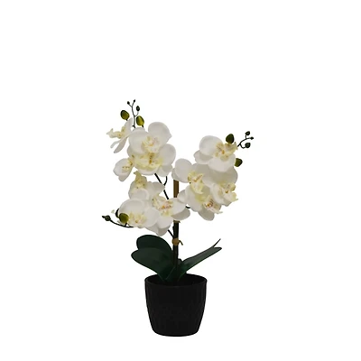 Orchid Arrangement in Black Decorative Pot