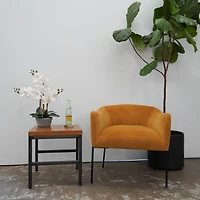 Desktop Orchid Arrangement in Gray Planter