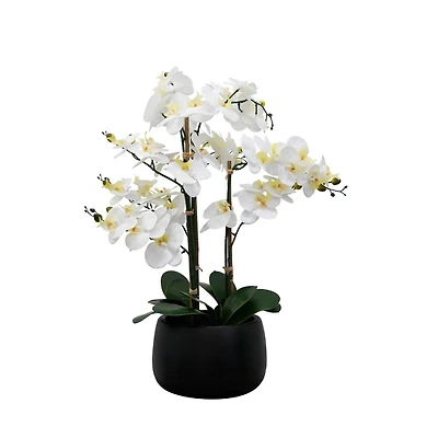 White Real Touch Orchid Arrangement in Black Pot