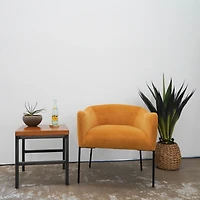 Agave Arrangement in Natural Woven Basket