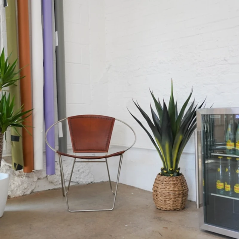 Agave Arrangement in Natural Woven Basket