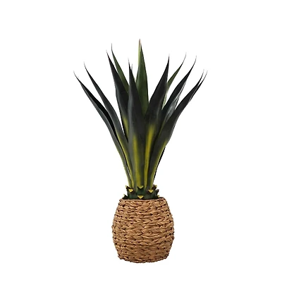 Agave Arrangement in Natural Woven Basket