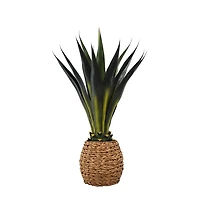 Agave Arrangement in Natural Woven Basket
