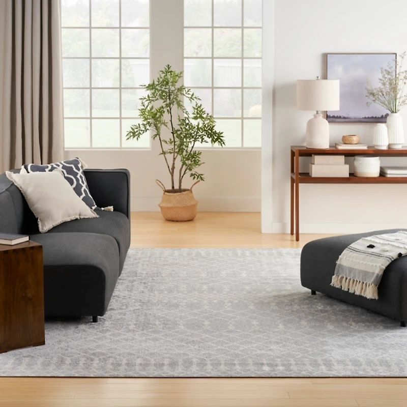 Gray and Ivory Moroccan Trellis Area Rug, 9x12