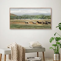 Summer Herd Framed Canvas Art Print