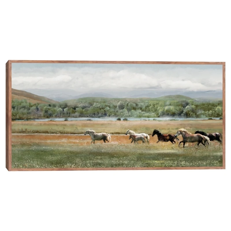 Summer Herd Framed Canvas Art Print