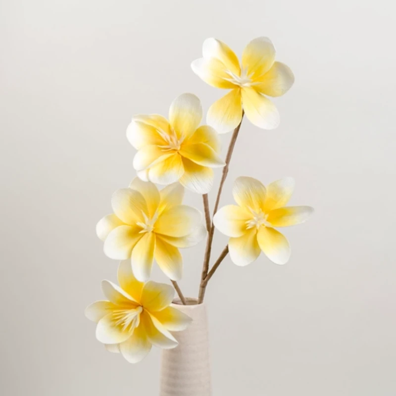 Yellow Japanese Magnolia Foam Spray