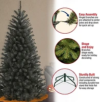 6.5 ft. Black Valley Spruce Halloween Tree
