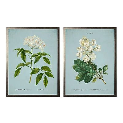 Blue Floral Diagram I Framed Art Prints, Set of 2