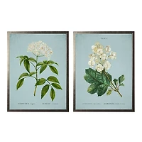 Blue Floral Diagram I Framed Art Prints, Set of 2