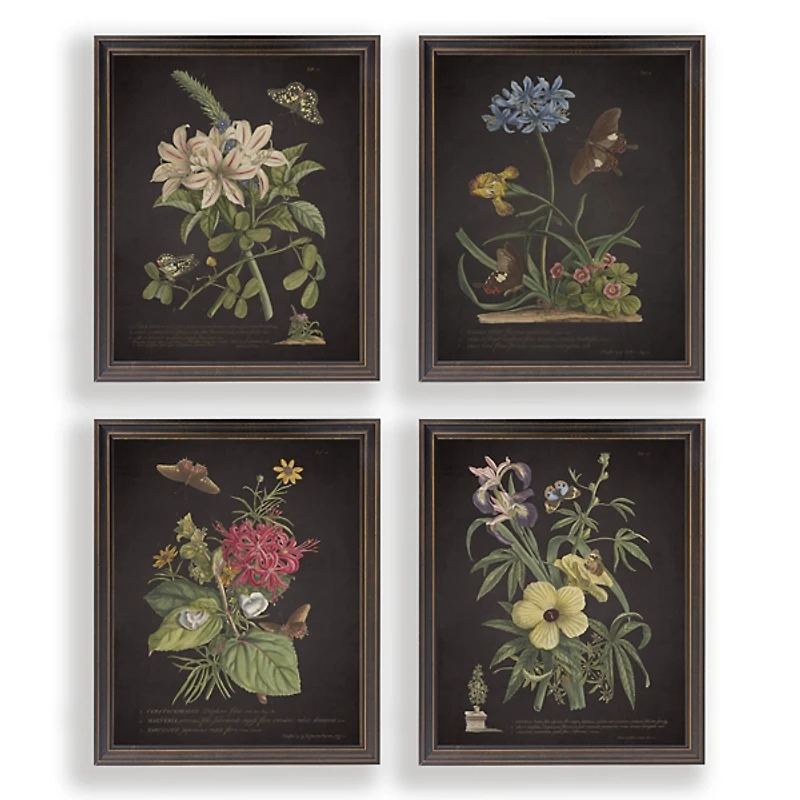 Night Butterfly Blooms Framed Art Prints, Set of 4