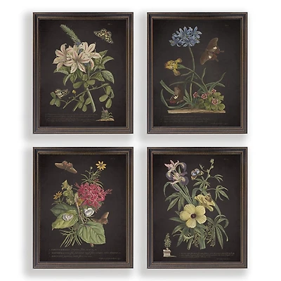 Night Butterfly Blooms Framed Art Prints, Set of 4