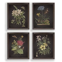 Night Butterfly Blooms Framed Art Prints, Set of 4