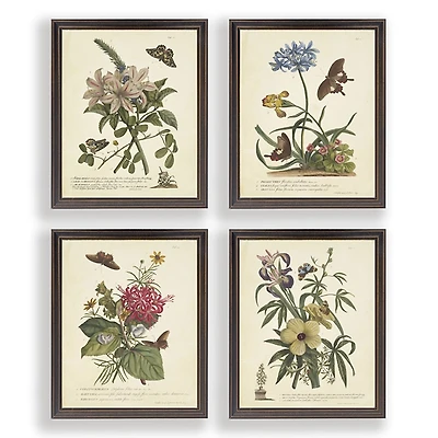 Day Butterfly Blooms Framed Art Prints, Set of 4