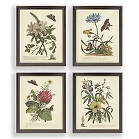 Day Butterfly Blooms Framed Art Prints, Set of 4