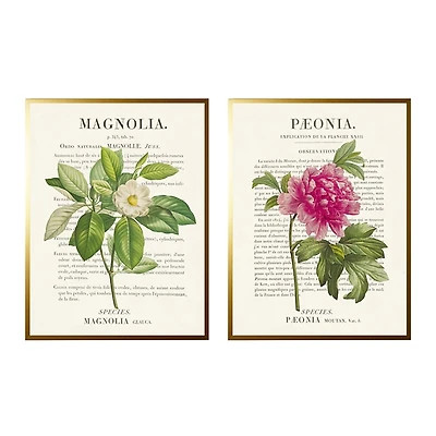 Vintage Floral Diagram Framed Art Prints, Set of 2