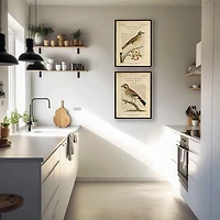 Birds Diagram I Framed Art Prints, Set of 2