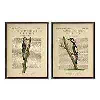 Birds Diagram II Framed Art Prints, Set of 2