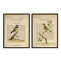 Birds Diagram III Framed Art Prints, Set of 2