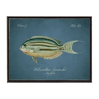 Angelfish Framed Wall Art