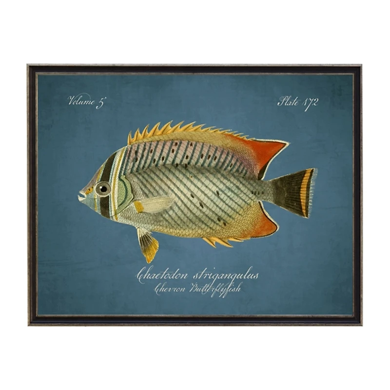 Chevron Butterflyfish Framed Wall Art