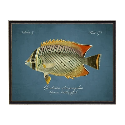 Chevron Butterflyfish Framed Wall Art